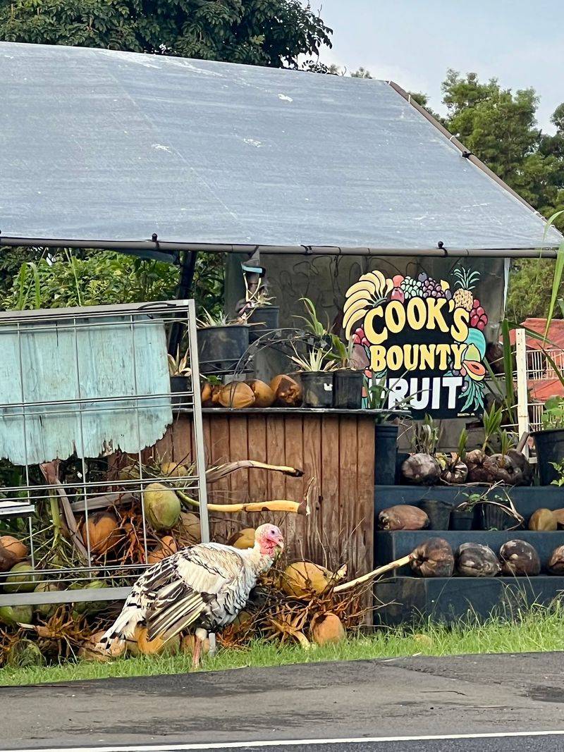 Cooks Bounty Fruit Stand, Captain Cook, HI