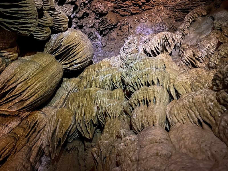 Cool Air, Bats, and Hidden Cave Dwellers
