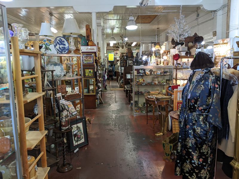 Cool And Comfortable Browsing Cool And Comfortable Browsing