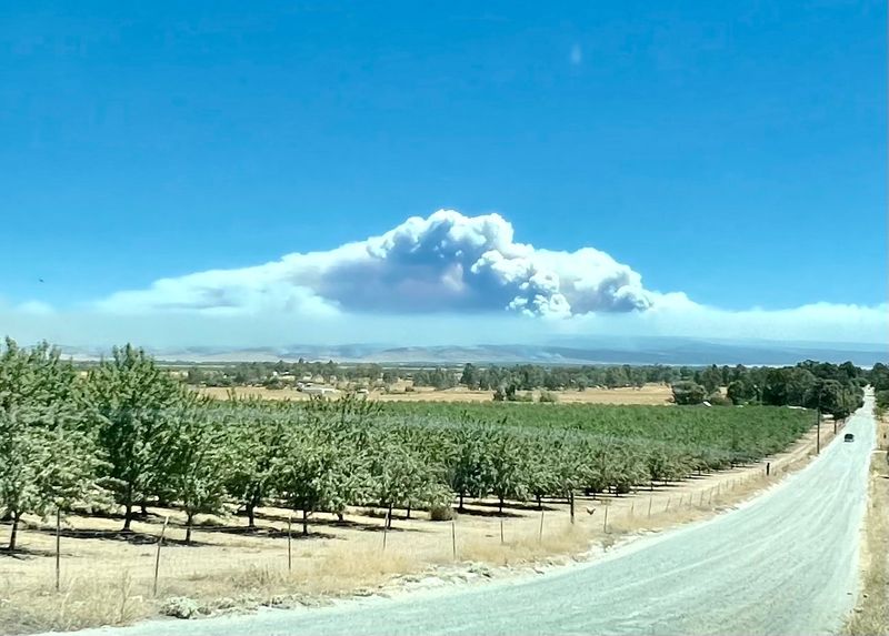 Corning, Tehama County