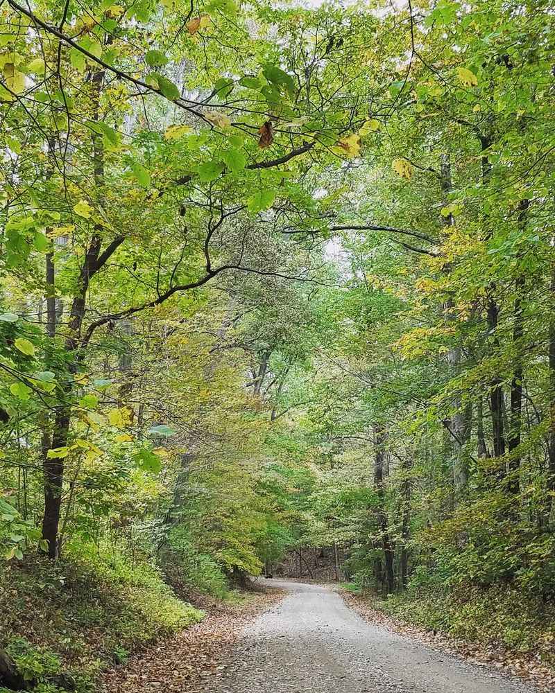 Country Roads Made for Slow Drives