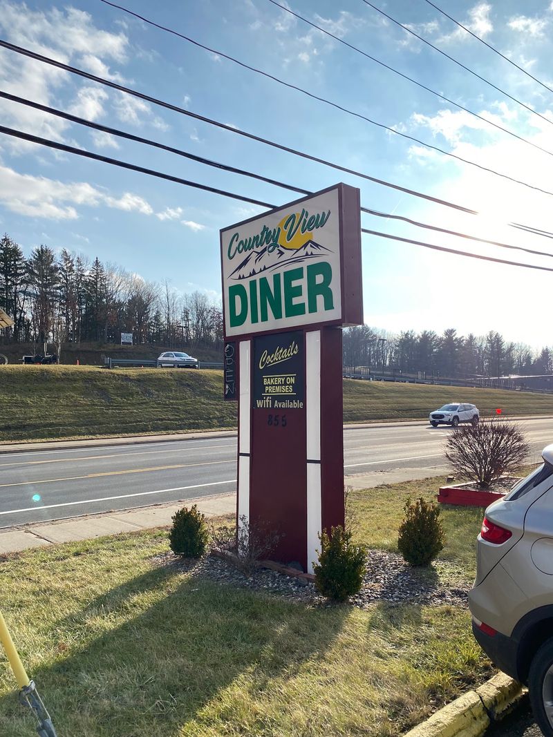 Country View Diner, Brunswick, NY