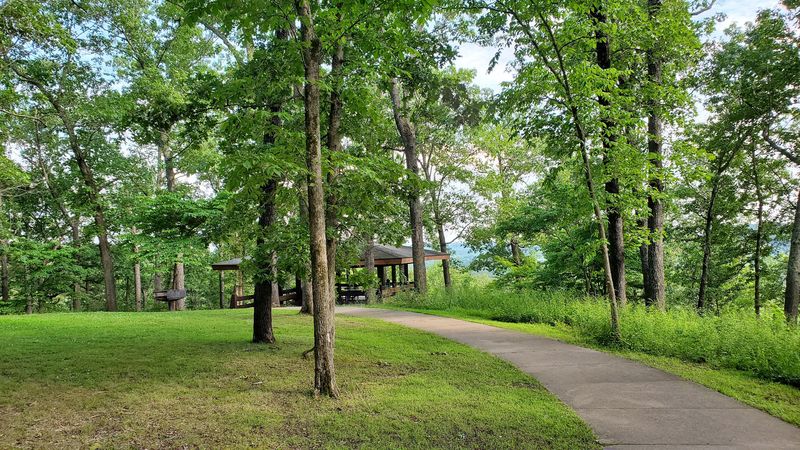 Cozy Cabins And The Lodge