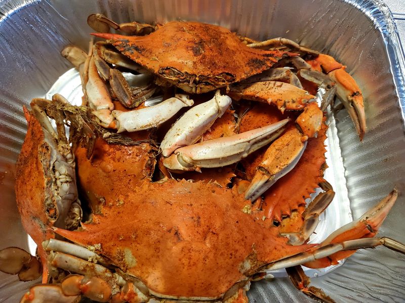 Crab & Seafood Shack, Wildwood, NJ