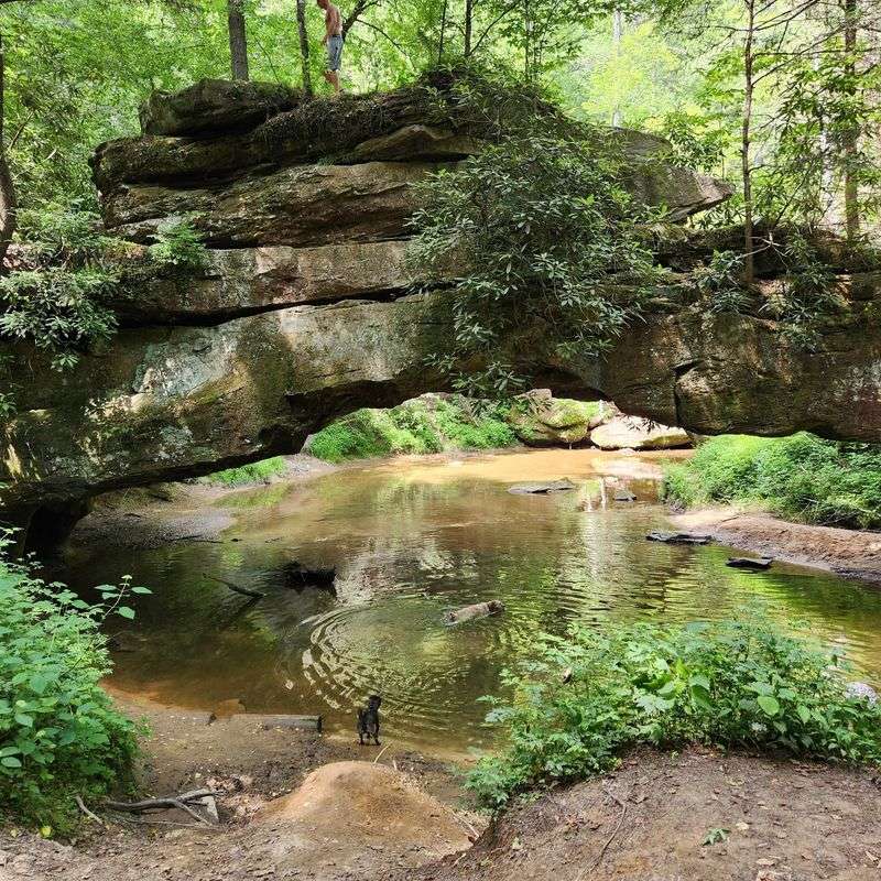 Creation Falls Creation Falls