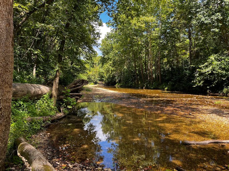 Creek Access For Family Afternoons