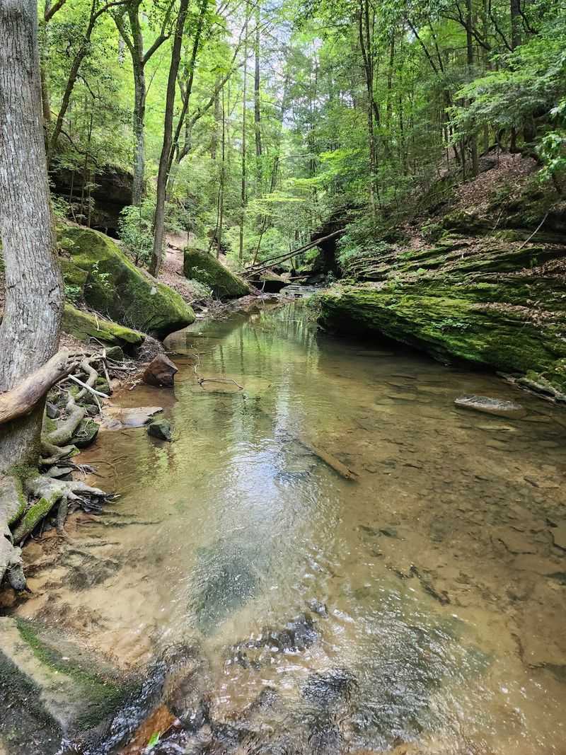 Creek Crossings And Which Fork To Take