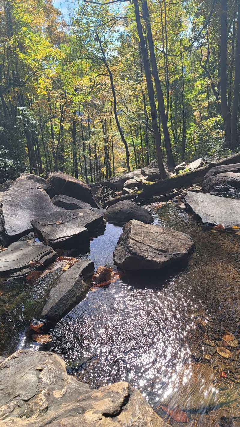 Creek Crossings, Wildlife, and Safety Along the Way