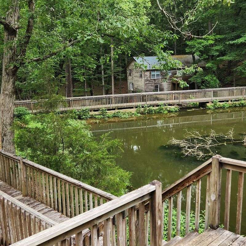 Creek, Pond, And Water To Explore Creek, Pond, And Water To Explore