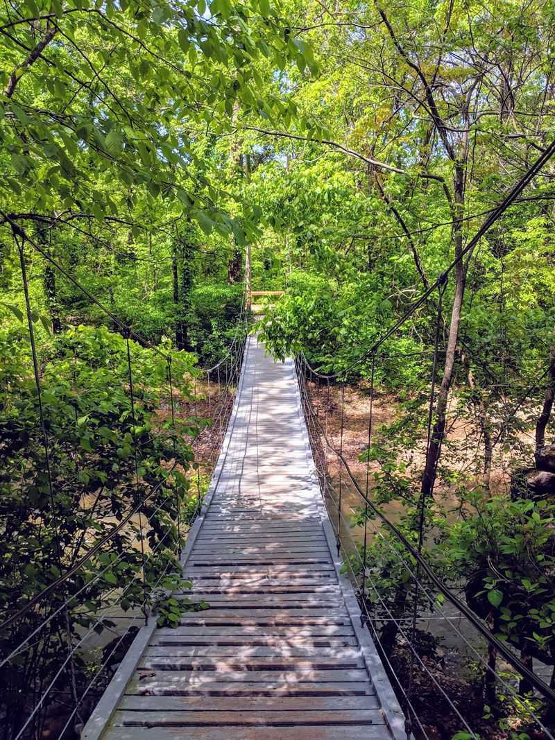 Crossing The Swaying Suspension Bridge
