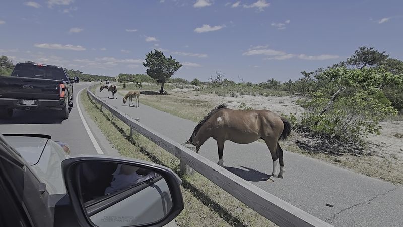 Crowds, Traffic, and the Best Timing