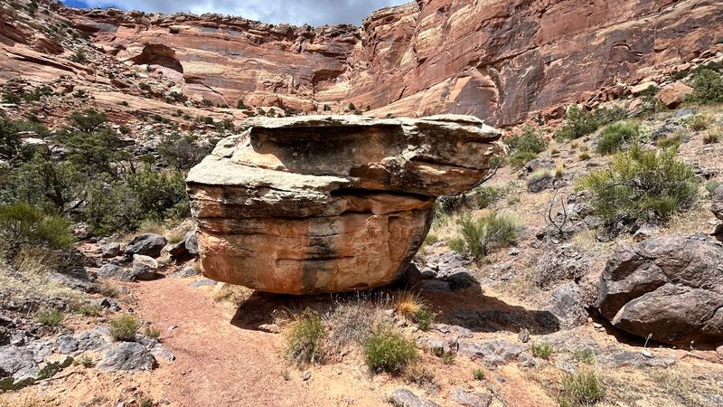 Cruising Rim Rock Drive
