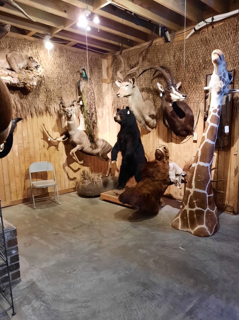 Curiosities Like Taxidermy And Skinny Syrups