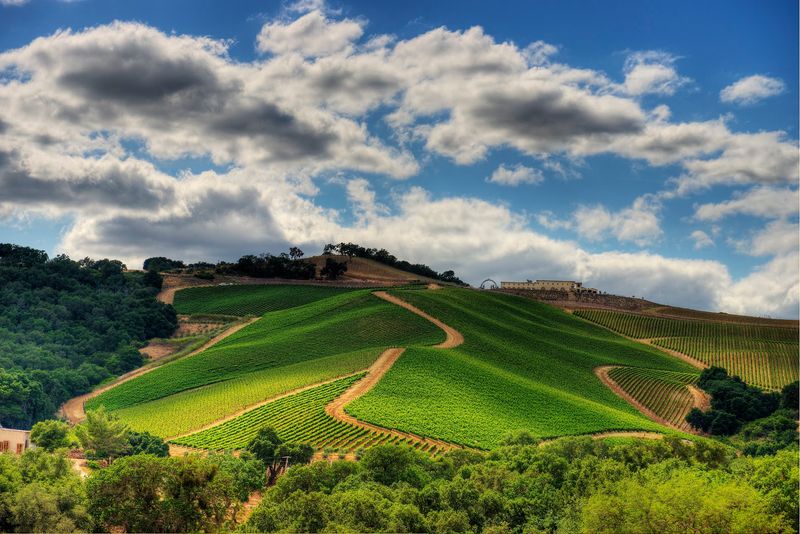 DAOU Vineyards, Paso Robles, CA DAOU Vineyards, Paso Robles, CA