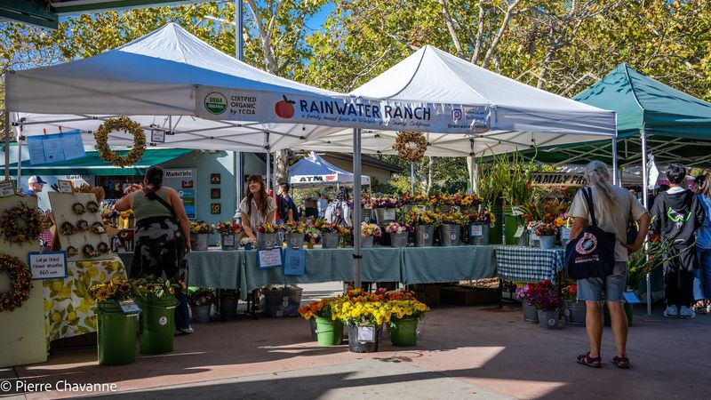 Davis Farmers Market, Davis, CA Davis Farmers Market, Davis, CA