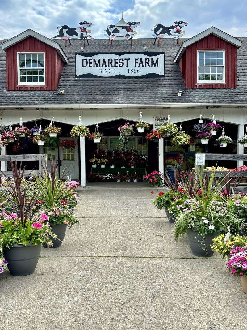 Demarest Farms, Hillsdale, NJ
