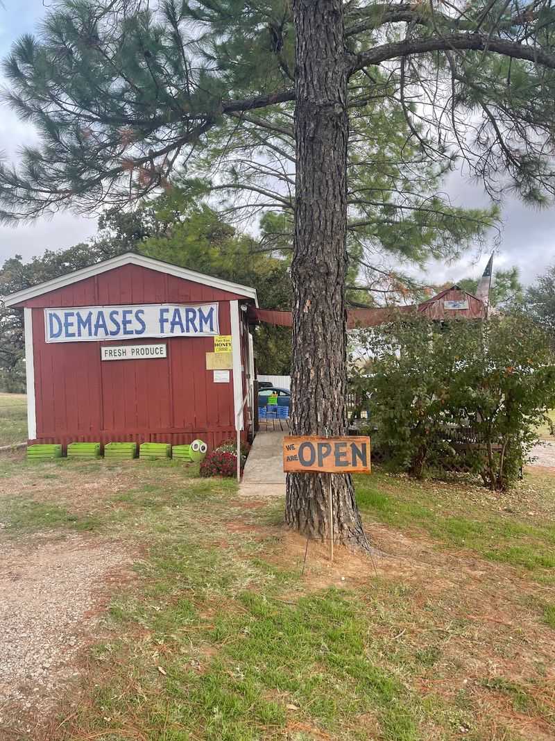 Demases Farm, Boyd, TX