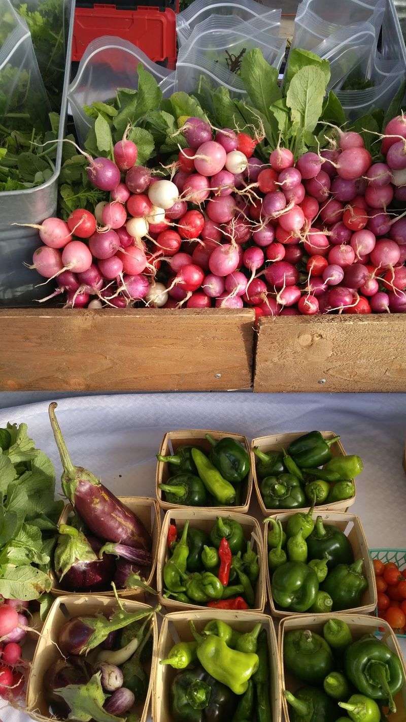Denton Community Market, Denton, TX