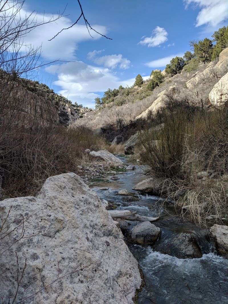 Desert Streams And The Trout That Live In Them Desert Streams And The Trout That Live In Them