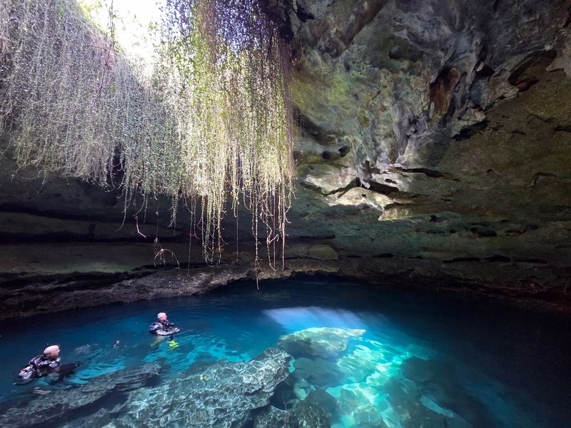 Devil's Den Prehistoric Spring, Williston, Florida