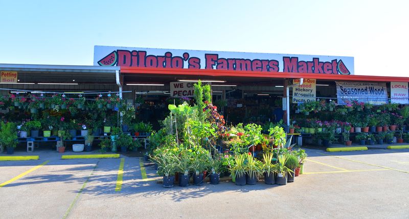DiIorio Farms Partnership/Farmers Market, Hempstead, TX