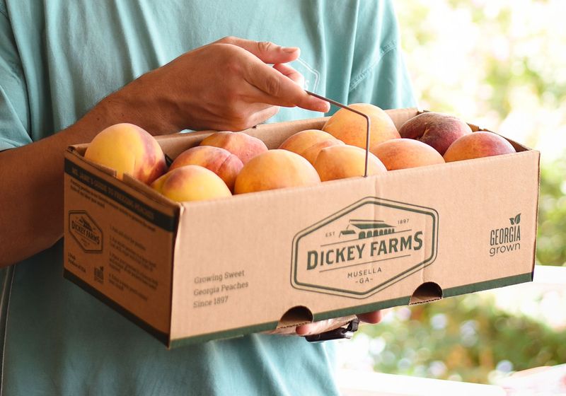 Dickey Farms, Musella, Georgia