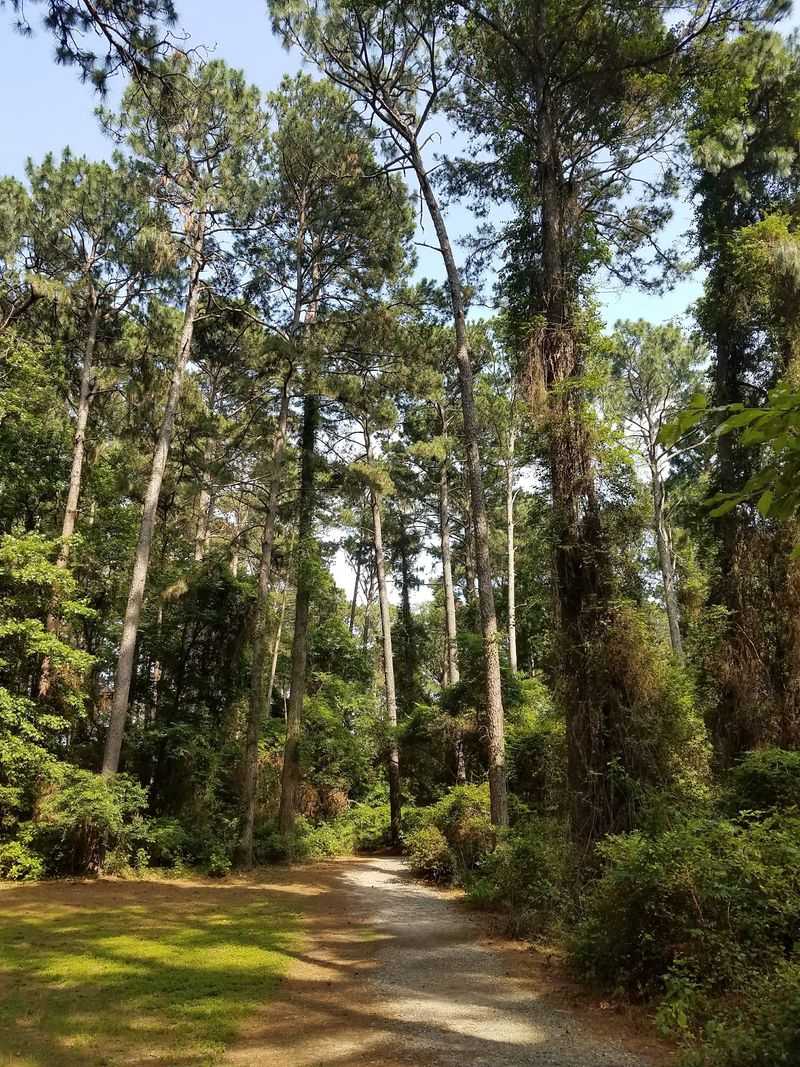 Disc Golf Courses That Fight Back