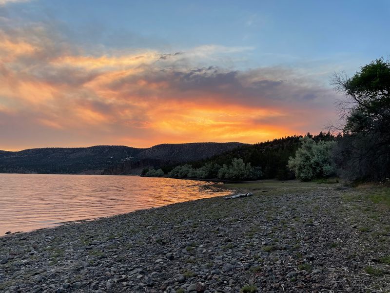 Dog-Friendly From Shore To Trail