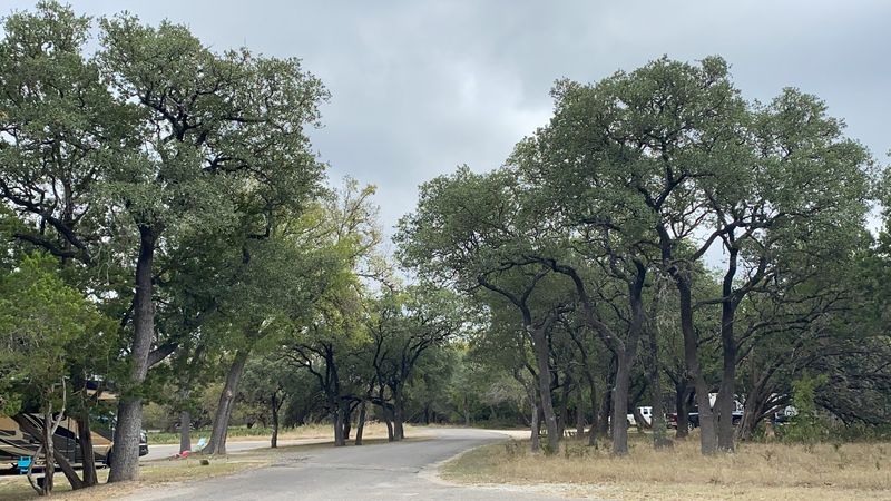 Dog-Friendly Grounds And Open Space