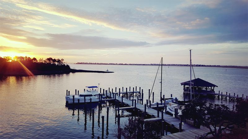 Dolphins, Kayaks, and Sunset Tours