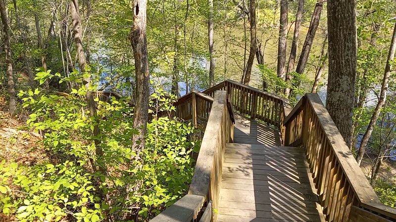 Down the Stairs to the Cave