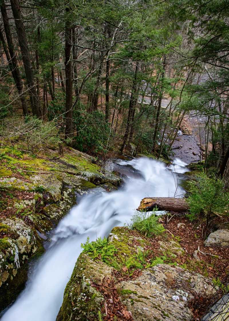 Download Your Map Before Cell Service Vanishes