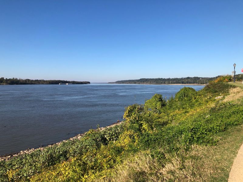 Driving the Natchez Trace Parkway
