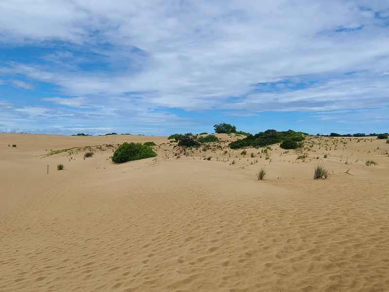 Dunes That Refuse to Sit Still Dunes That Refuse to Sit Still