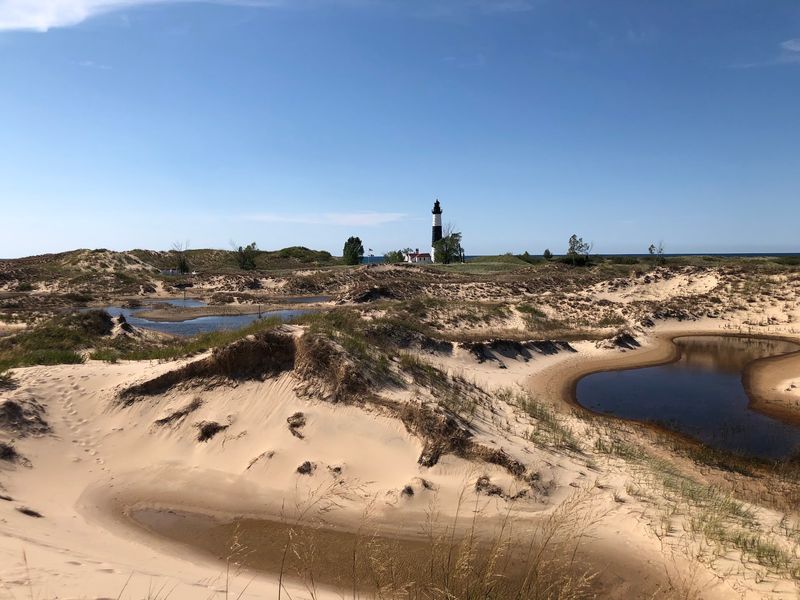 Dunes That Steal the Show