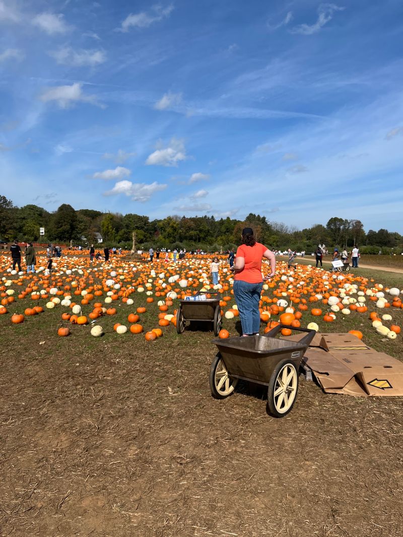 Eastmont Orchards, Colts Neck
