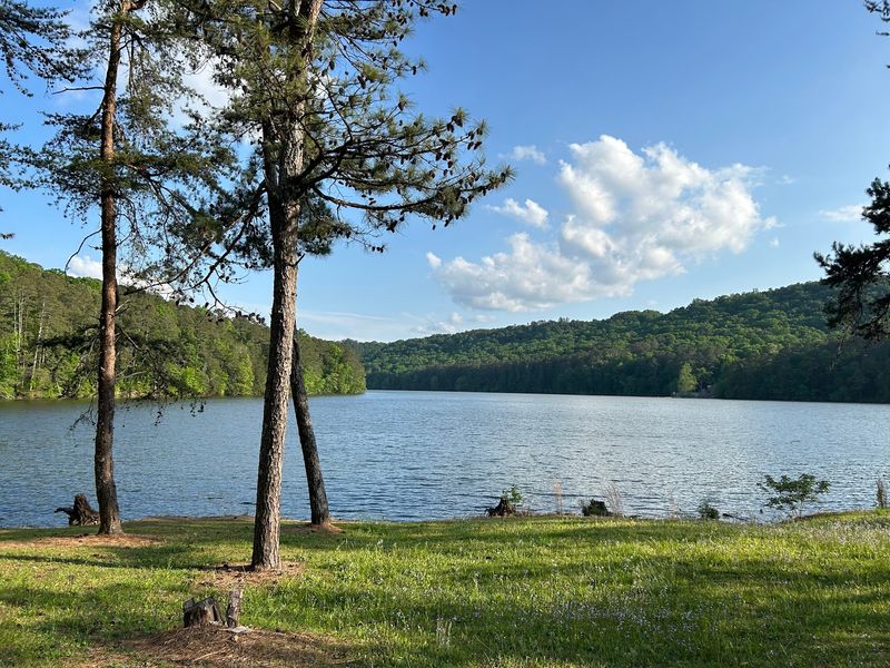 Easy Fishing And Time On The Water