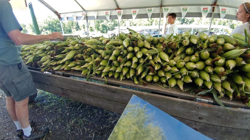Eckerts Corn Stand, Southampton Township, NJ