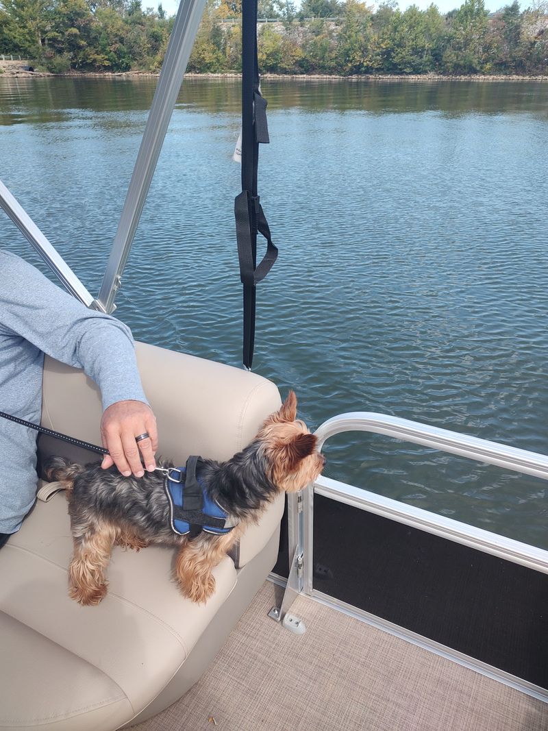 Every Kind Of Boating You Can Think Of Every Kind Of Boating You Can Think Of
