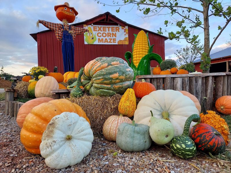 Exeter Corn Maze, Exeter, MO