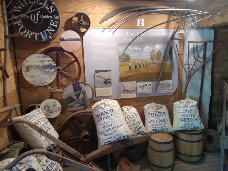 Exhibits That Bring the Past to Life