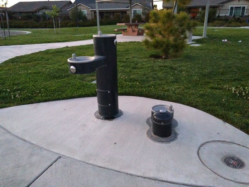 Extra Touches Like Chess And A Dog Bowl Fountain