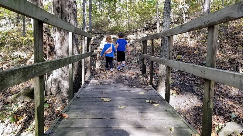 Extra Trails And A Disc Golf Surprise