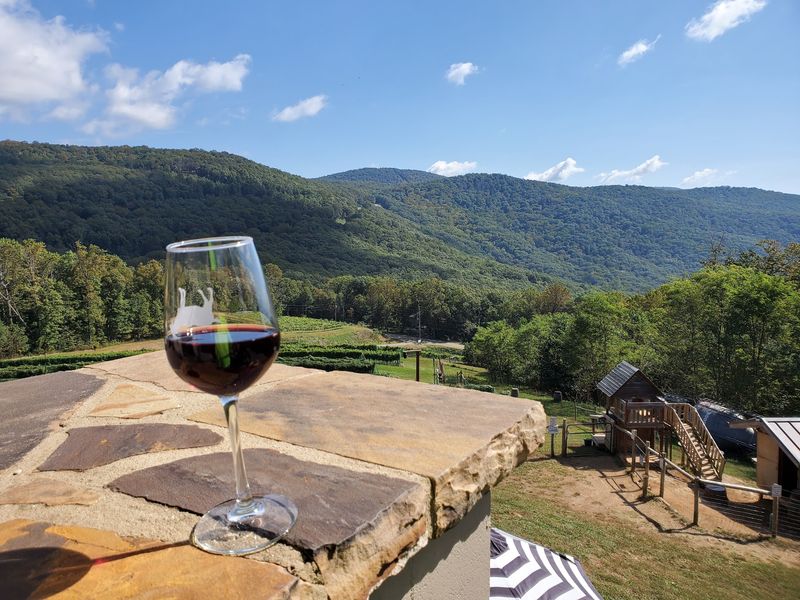 Fainting Goat Vineyards, Jasper, GA