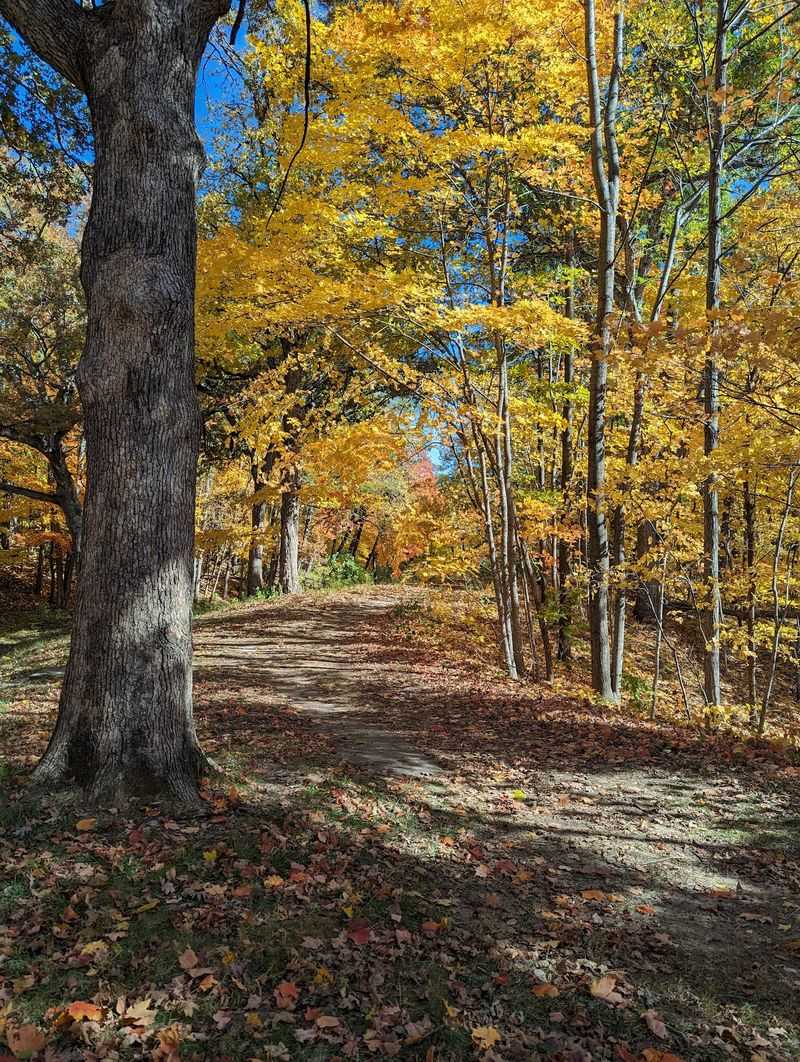 Fall Colors and Winter Quiet