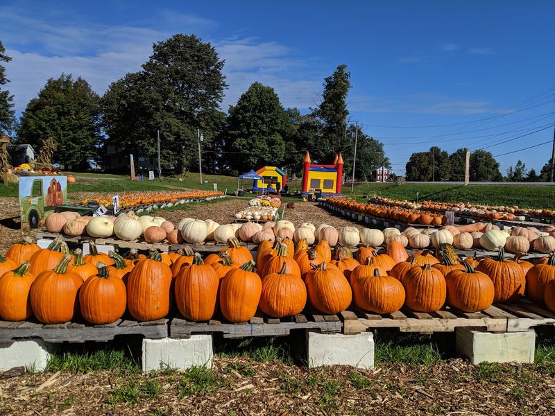 Fall Fun Without The Upcharges