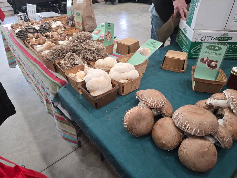 Farm-Fresh Finds Under One Roof