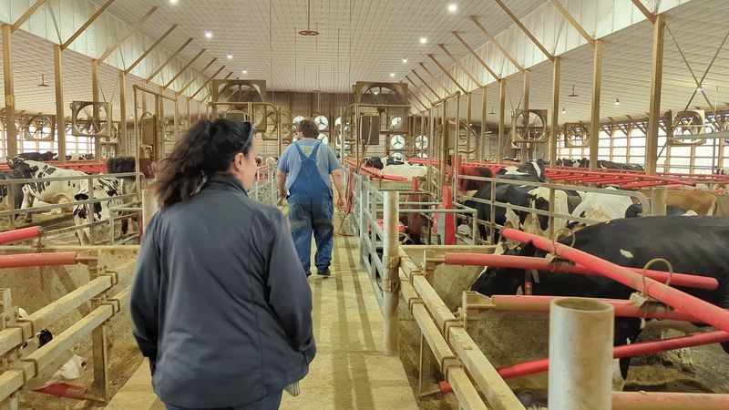 Farm Tours and Home Delivery