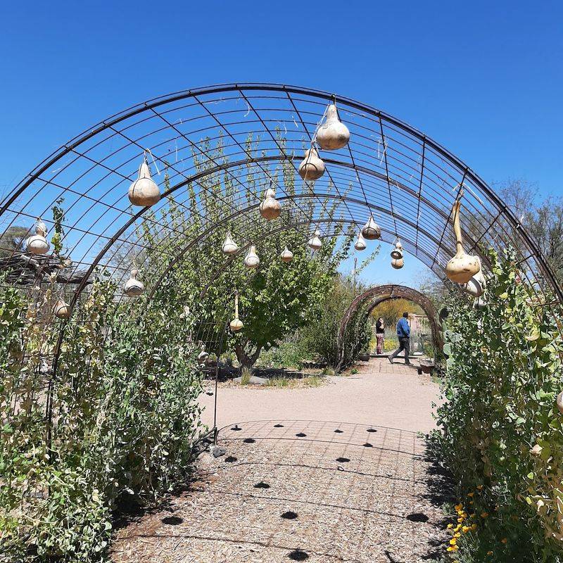 Festivals, Ceremonies and Taste of the Garden