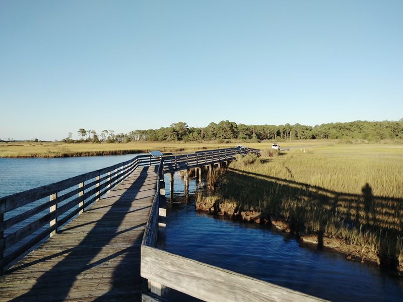 Finding Your Way Without a Wrong Turn